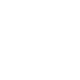 Present Icon