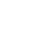 Present Icon